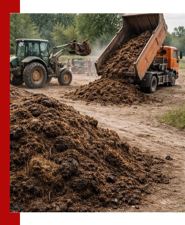 Доставка навоза самосвалами в Минеральных Водах для сельхозпотребностей